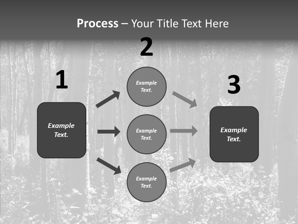 Scenery Grove Sunlit PowerPoint Template