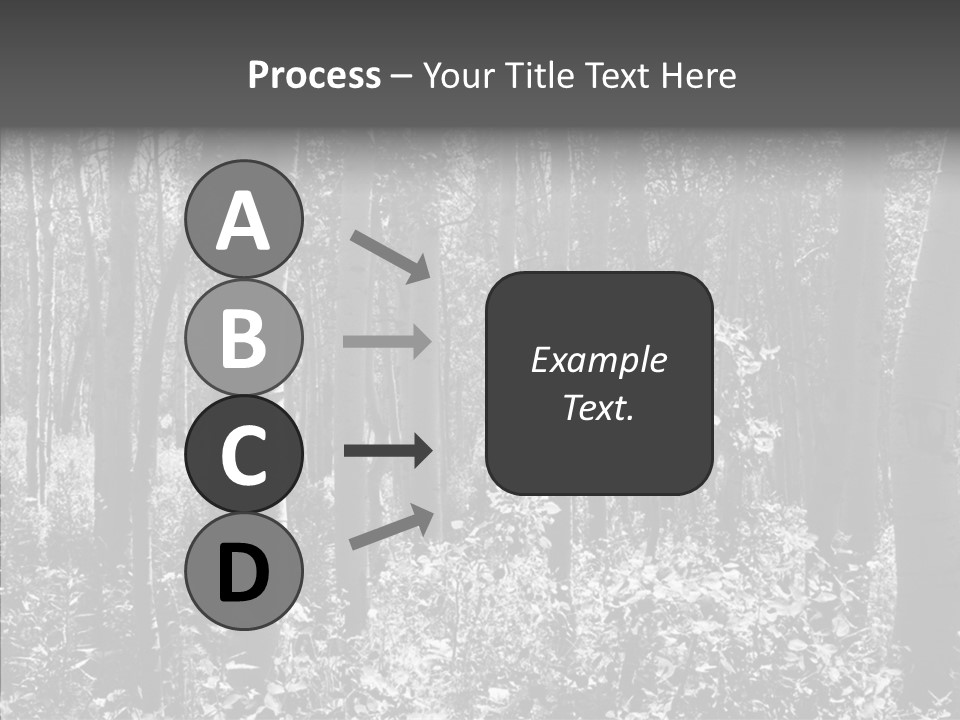 Scenery Grove Sunlit PowerPoint Template