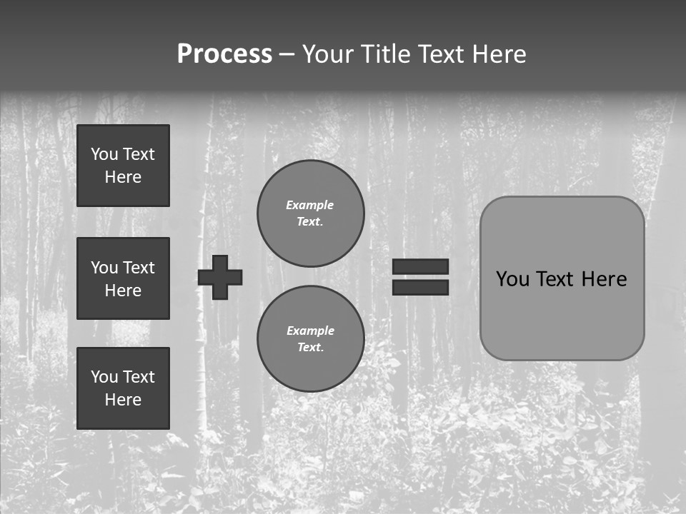 Scenery Grove Sunlit PowerPoint Template