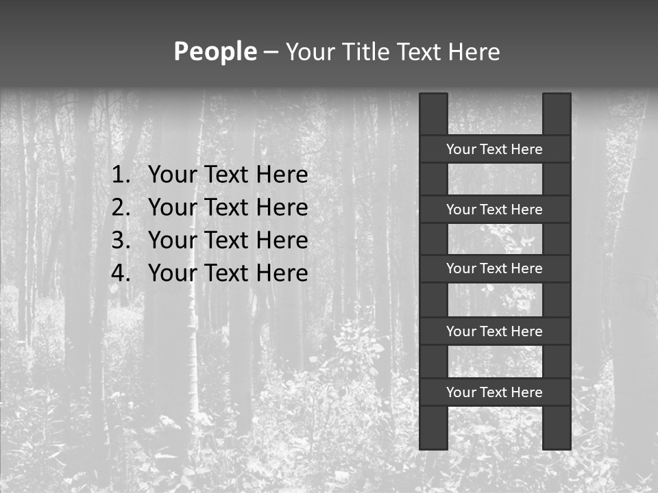 Scenery Grove Sunlit PowerPoint Template