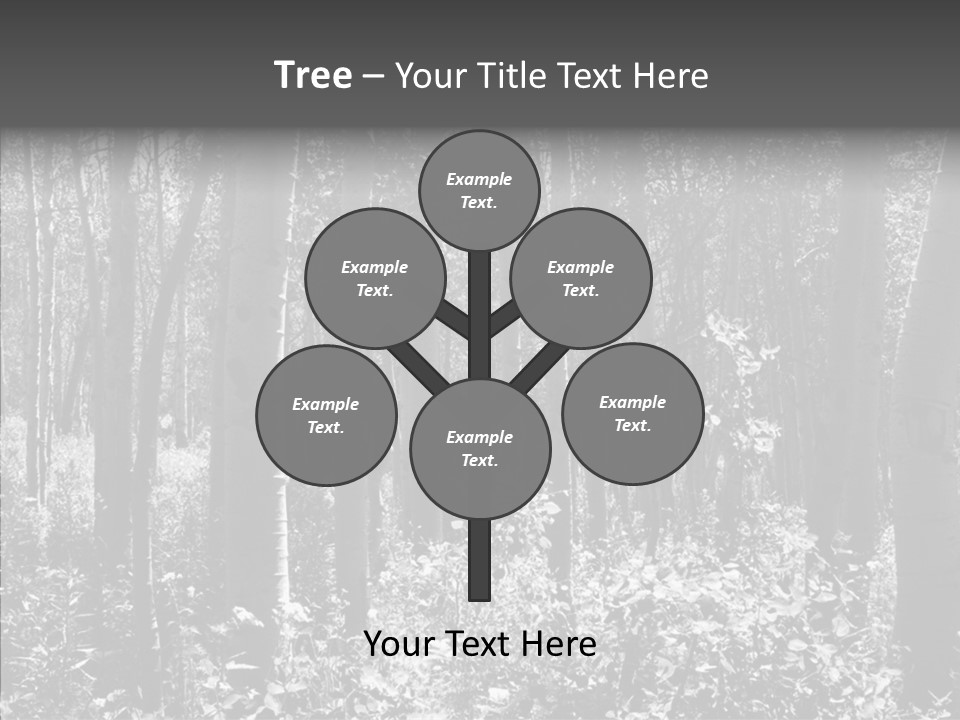 Scenery Grove Sunlit PowerPoint Template