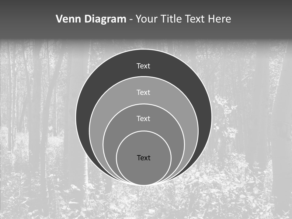 Scenery Grove Sunlit PowerPoint Template