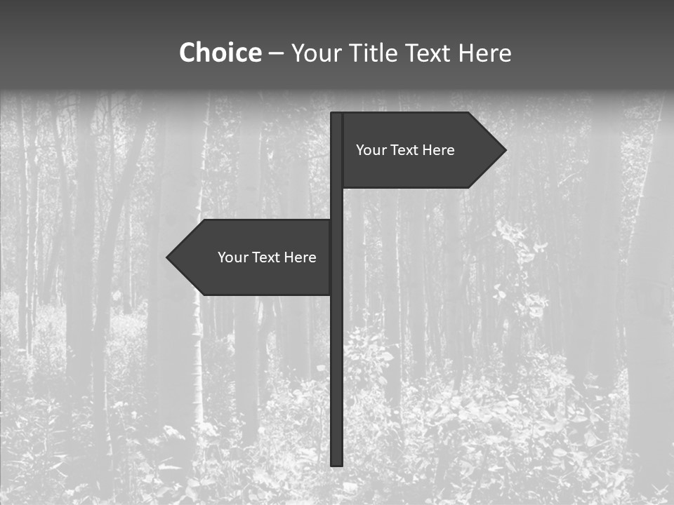 Scenery Grove Sunlit PowerPoint Template