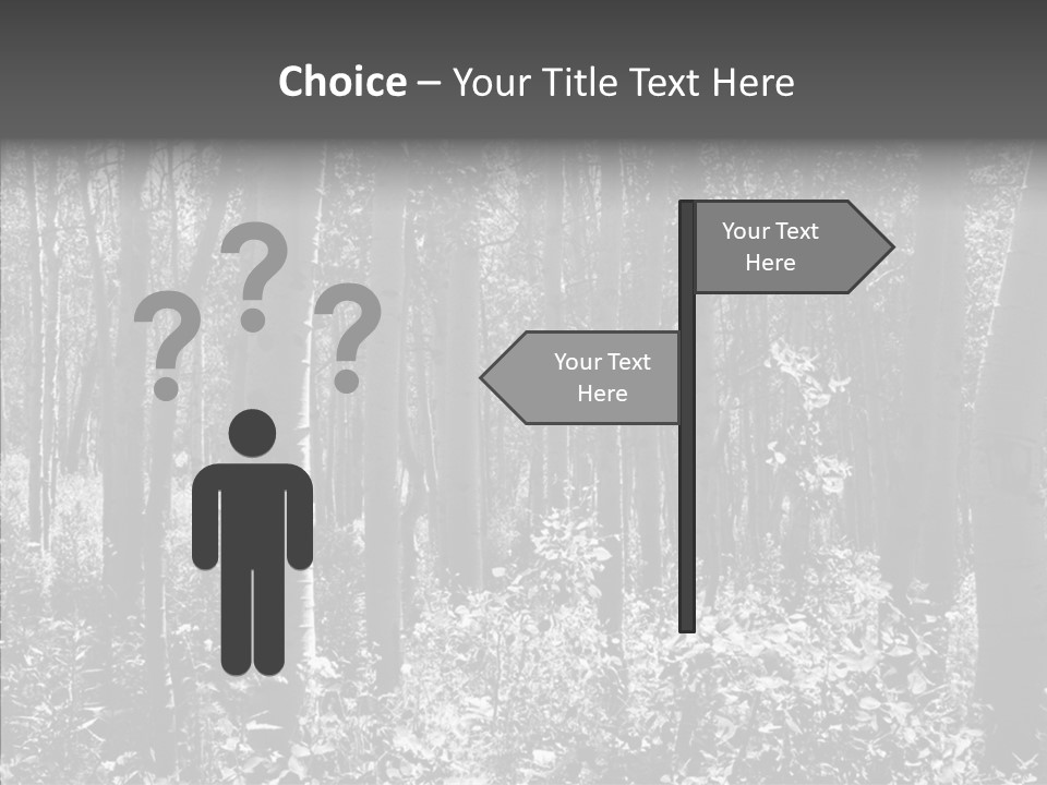 Scenery Grove Sunlit PowerPoint Template