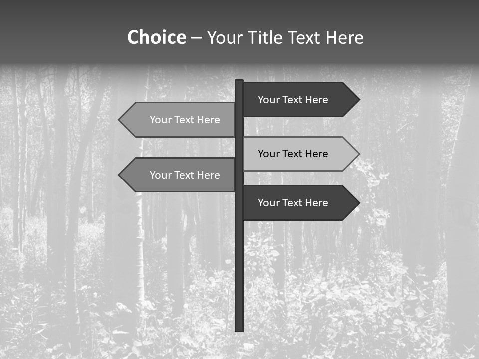 Scenery Grove Sunlit PowerPoint Template