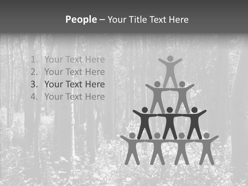 Scenery Grove Sunlit PowerPoint Template