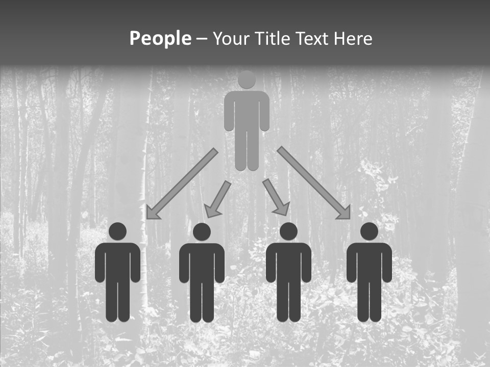 Scenery Grove Sunlit PowerPoint Template