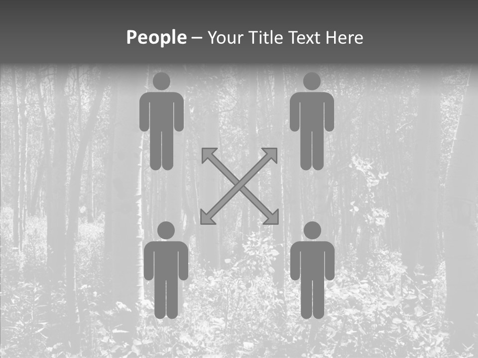 Scenery Grove Sunlit PowerPoint Template