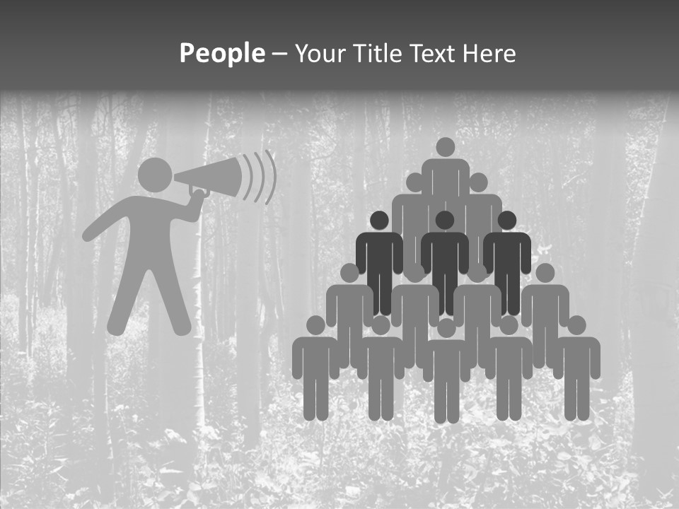 Scenery Grove Sunlit PowerPoint Template