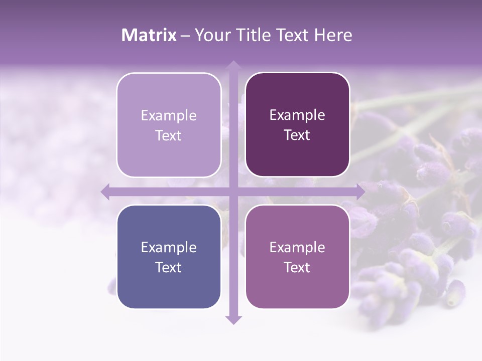 Natural Bunch Lilac PowerPoint Template