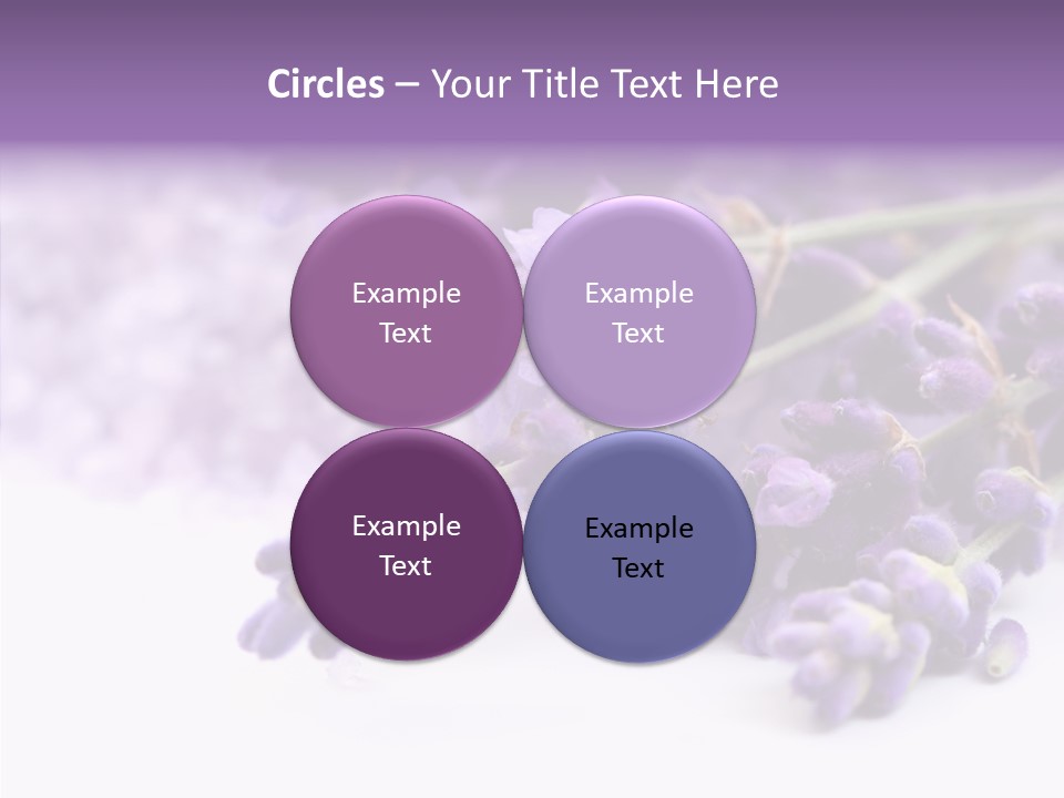 Natural Bunch Lilac PowerPoint Template