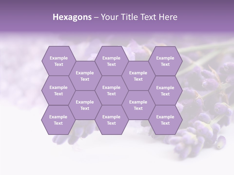 Natural Bunch Lilac PowerPoint Template