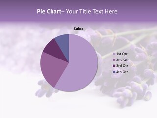 Natural Bunch Lilac PowerPoint Template