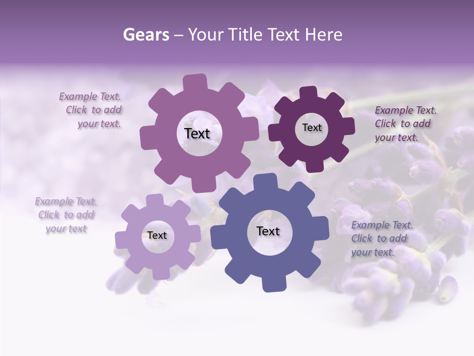 Natural Bunch Lilac PowerPoint Template