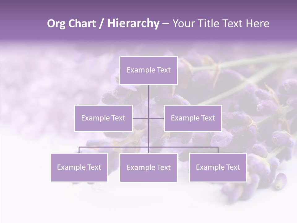 Natural Bunch Lilac PowerPoint Template