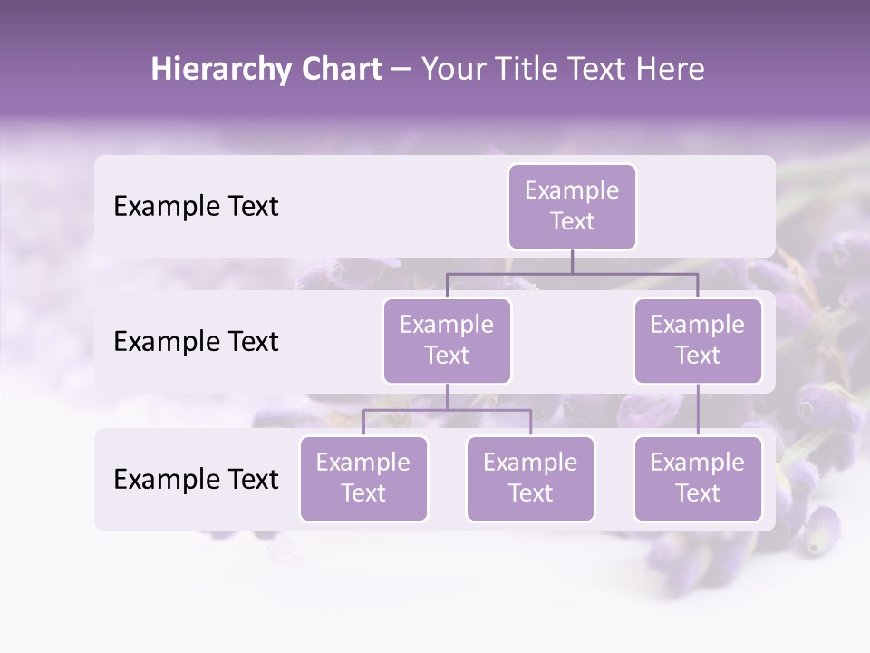 Natural Bunch Lilac PowerPoint Template
