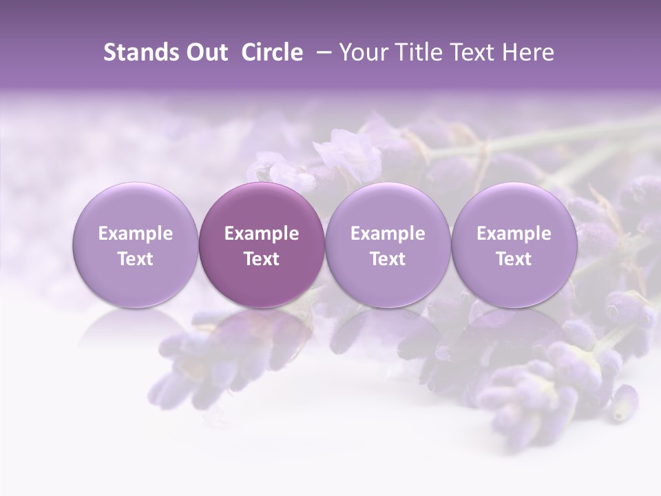 Natural Bunch Lilac PowerPoint Template