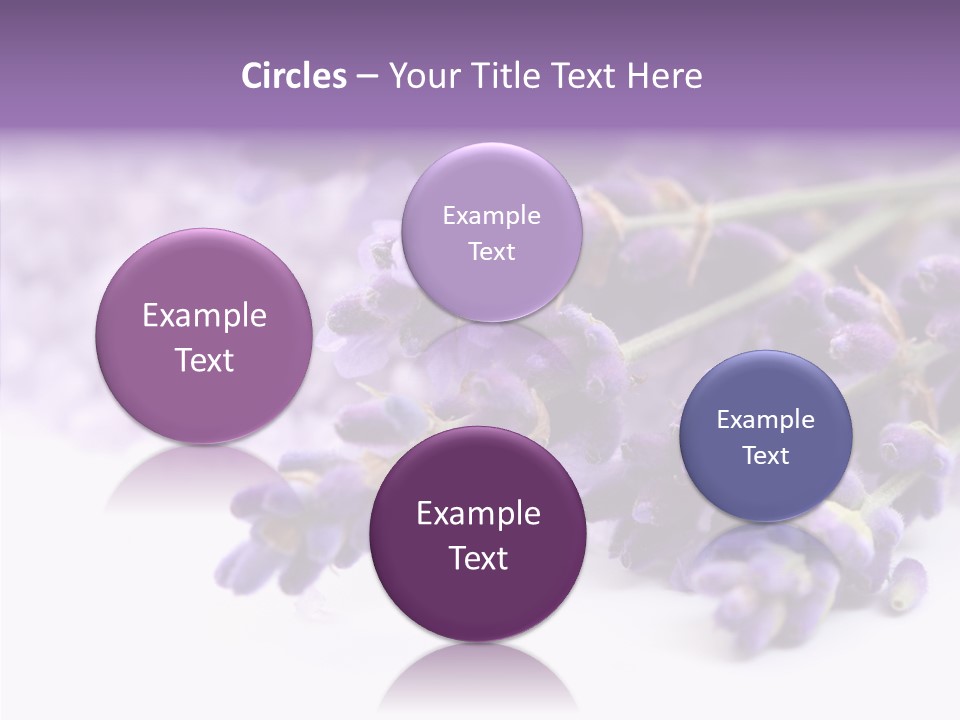 Natural Bunch Lilac PowerPoint Template