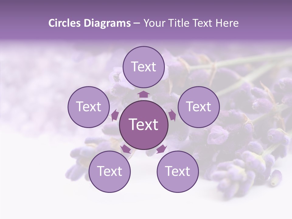Natural Bunch Lilac PowerPoint Template