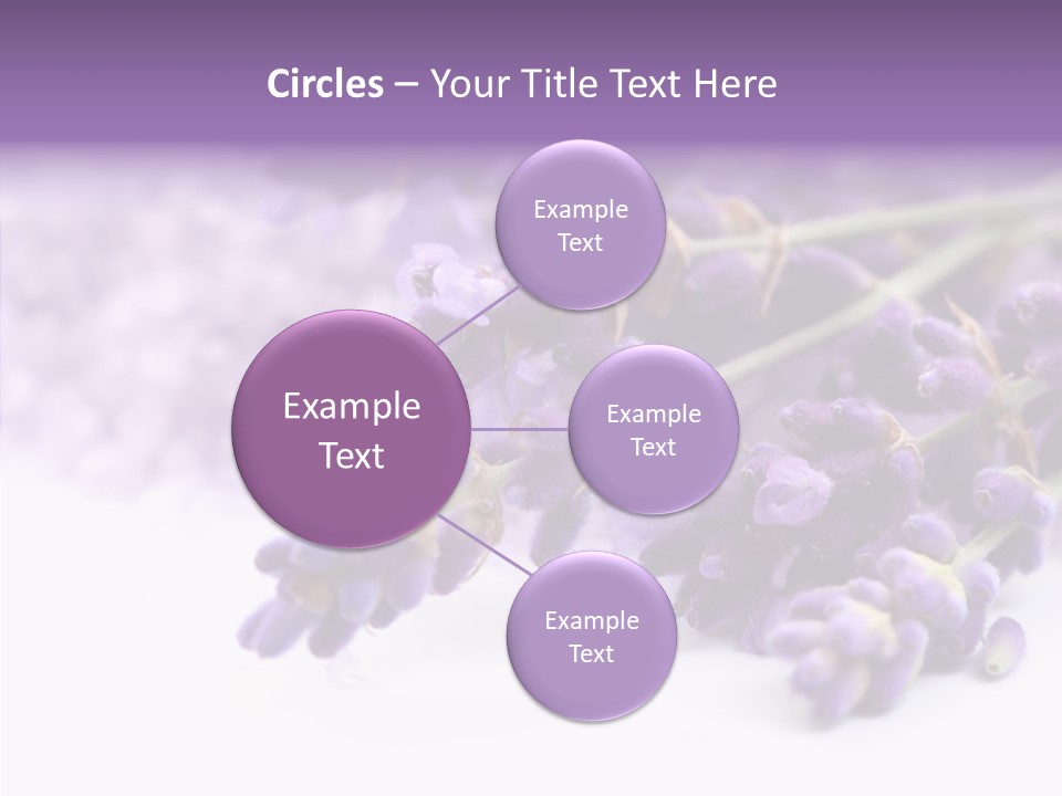 Natural Bunch Lilac PowerPoint Template