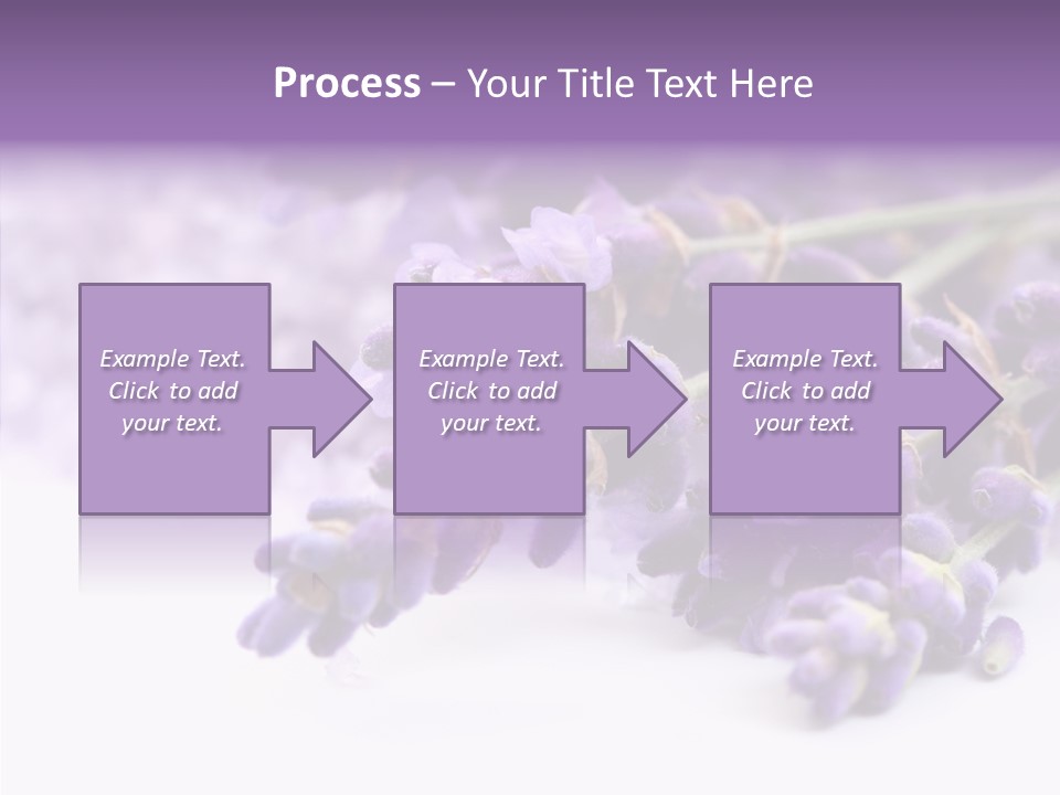 Natural Bunch Lilac PowerPoint Template