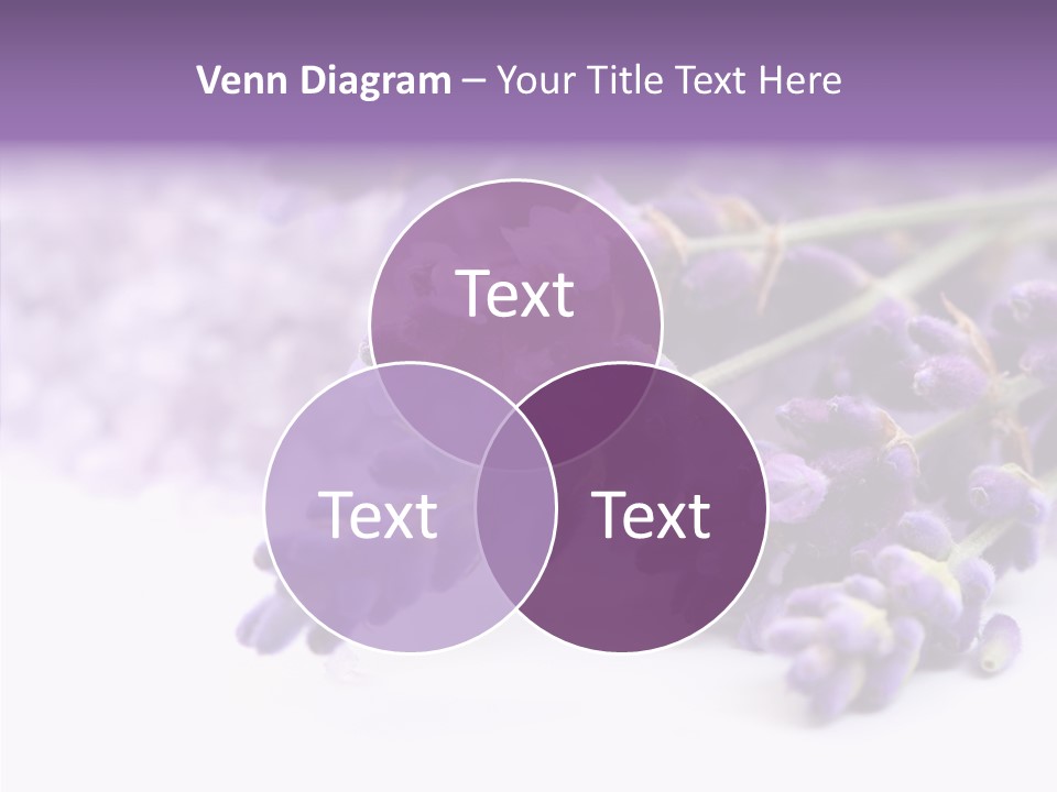 Natural Bunch Lilac PowerPoint Template
