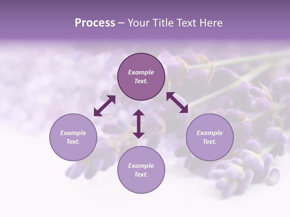 Natural Bunch Lilac PowerPoint Template