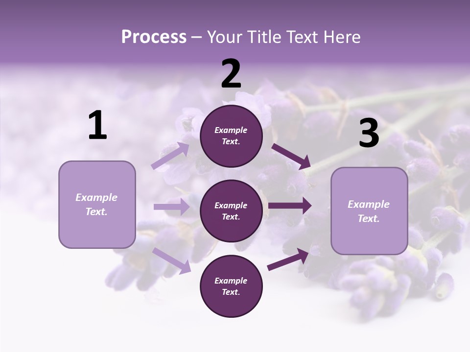 Natural Bunch Lilac PowerPoint Template