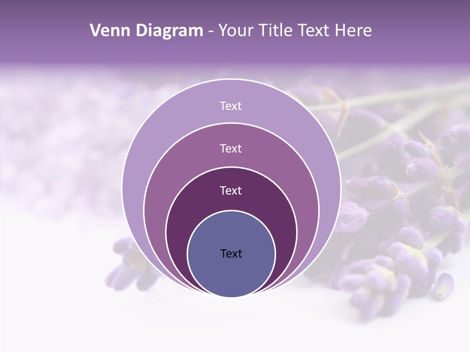 Natural Bunch Lilac PowerPoint Template