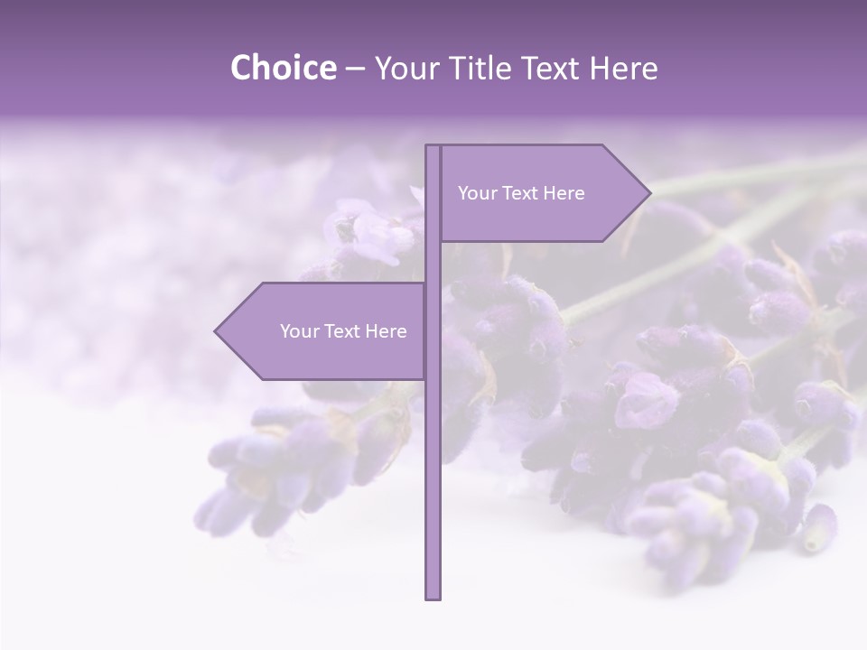 Natural Bunch Lilac PowerPoint Template