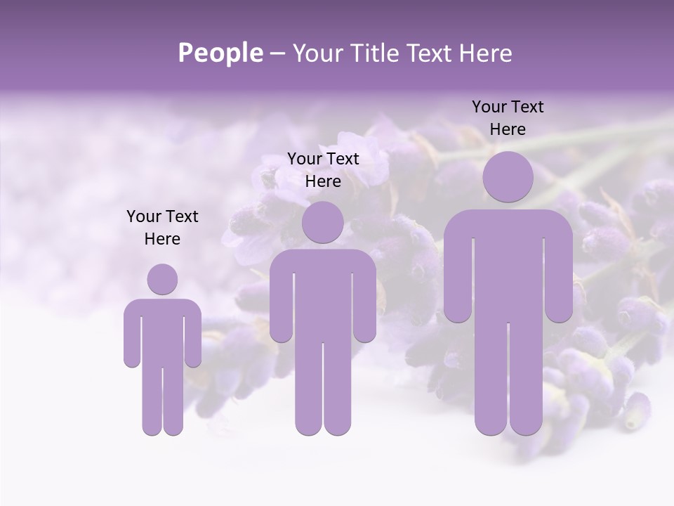 Natural Bunch Lilac PowerPoint Template