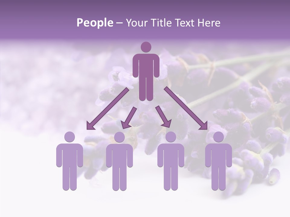 Natural Bunch Lilac PowerPoint Template