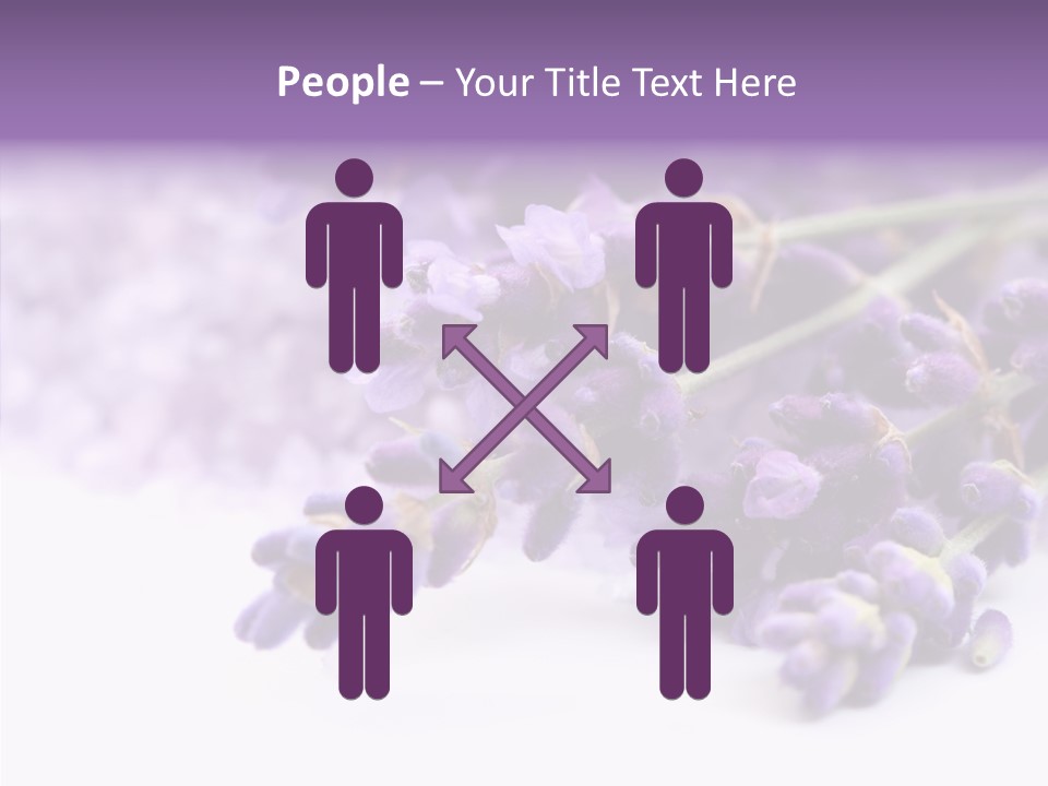 Natural Bunch Lilac PowerPoint Template