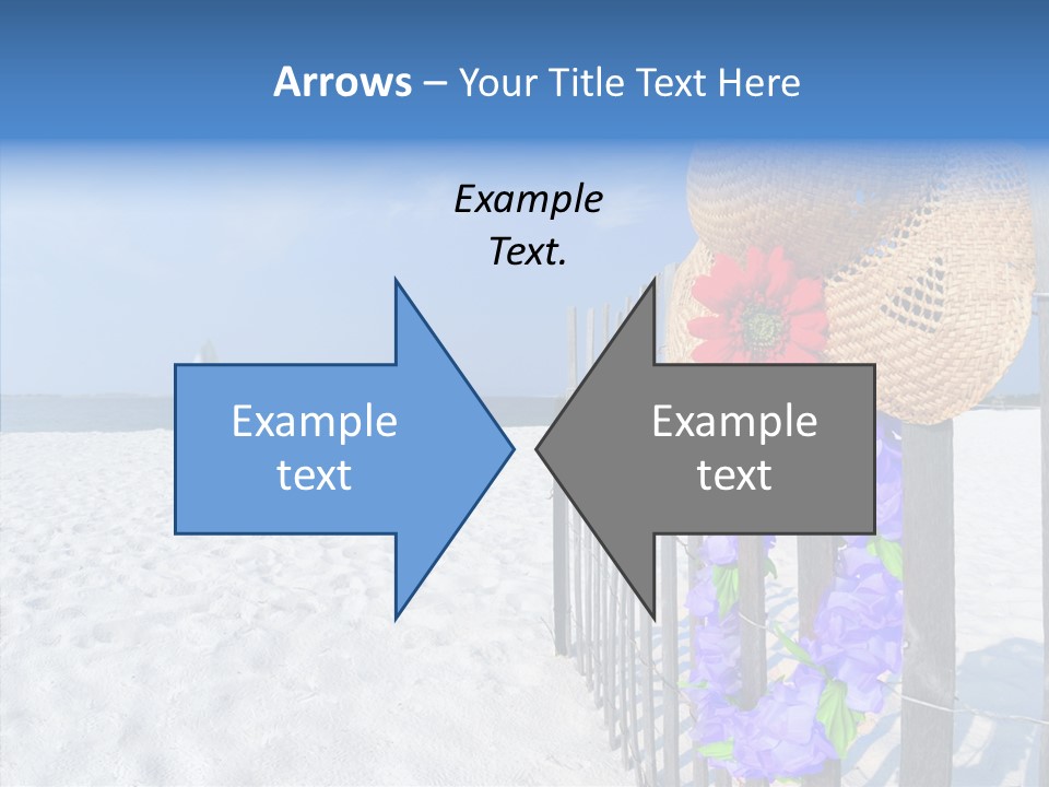 Seashore Gerber Nobody PowerPoint Template