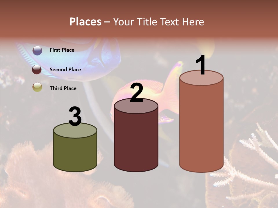 Close Seaweeds Fishes PowerPoint Template