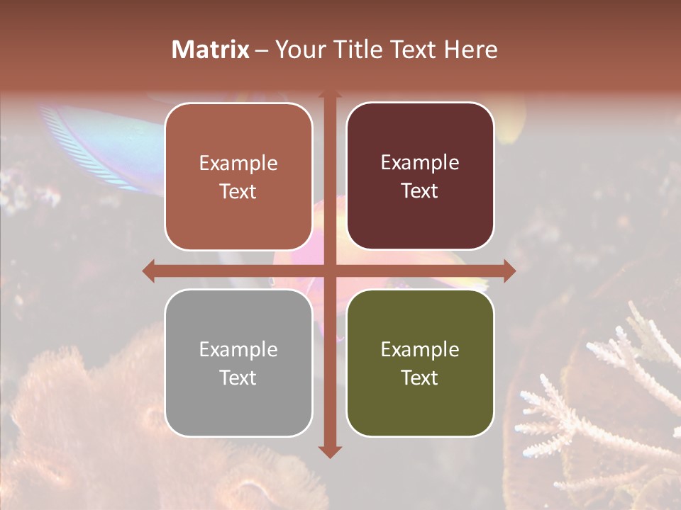 Close Seaweeds Fishes PowerPoint Template