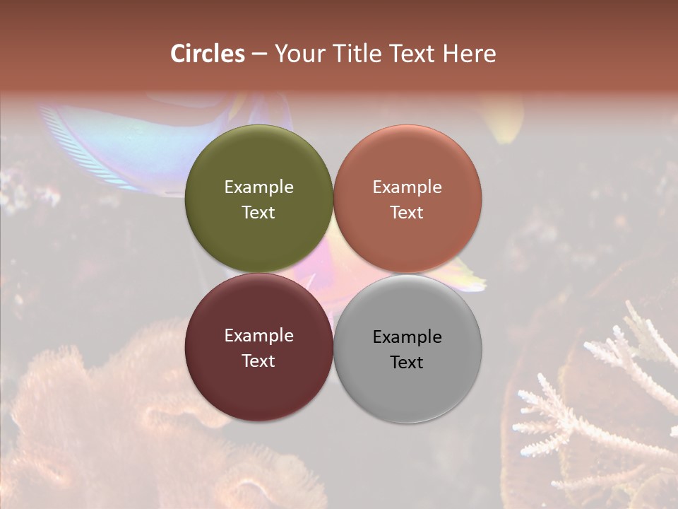 Close Seaweeds Fishes PowerPoint Template