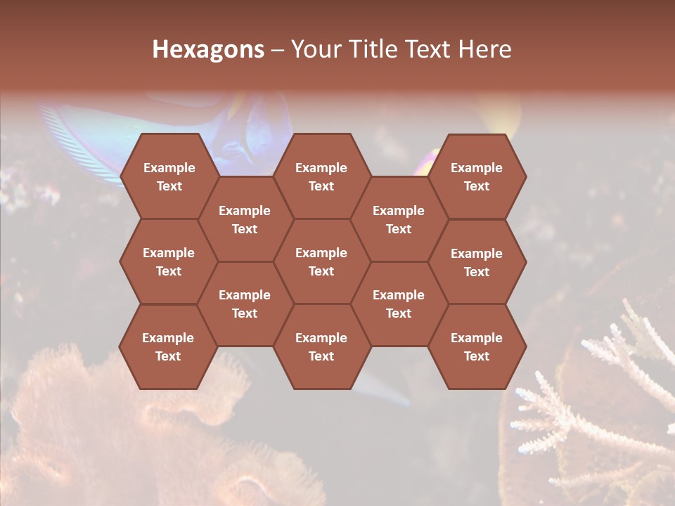 Close Seaweeds Fishes PowerPoint Template