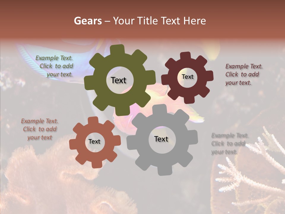 Close Seaweeds Fishes PowerPoint Template