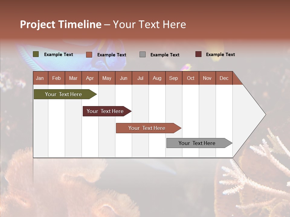 Close Seaweeds Fishes PowerPoint Template