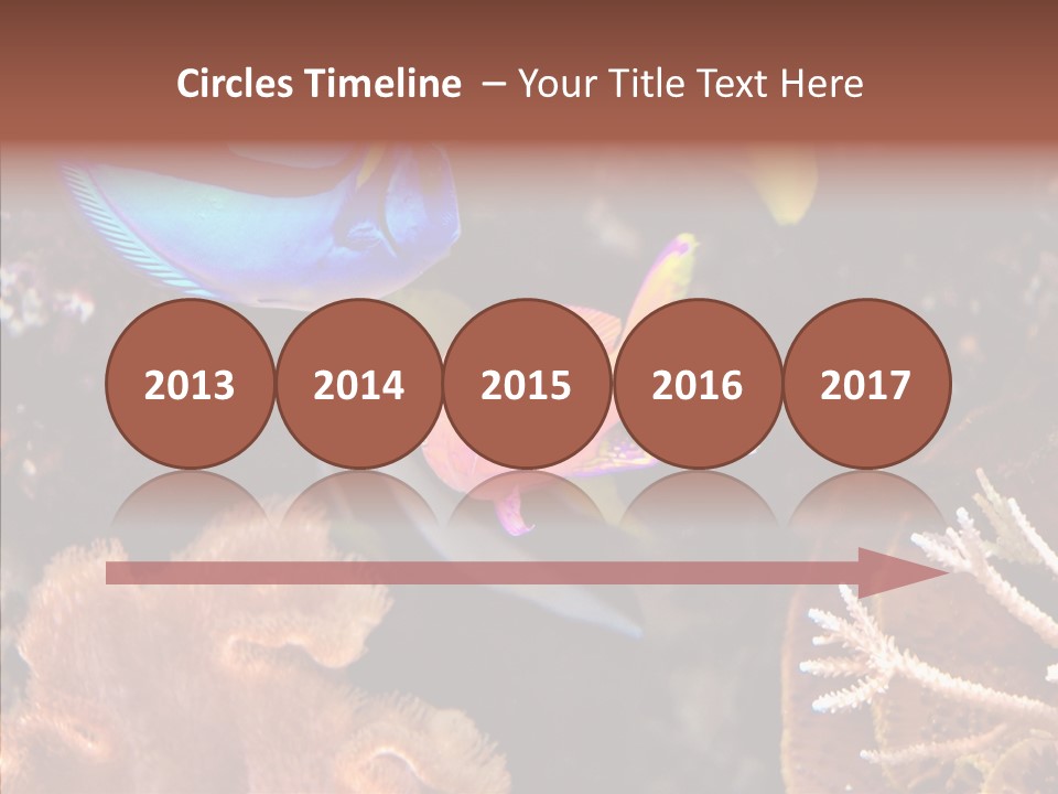 Close Seaweeds Fishes PowerPoint Template