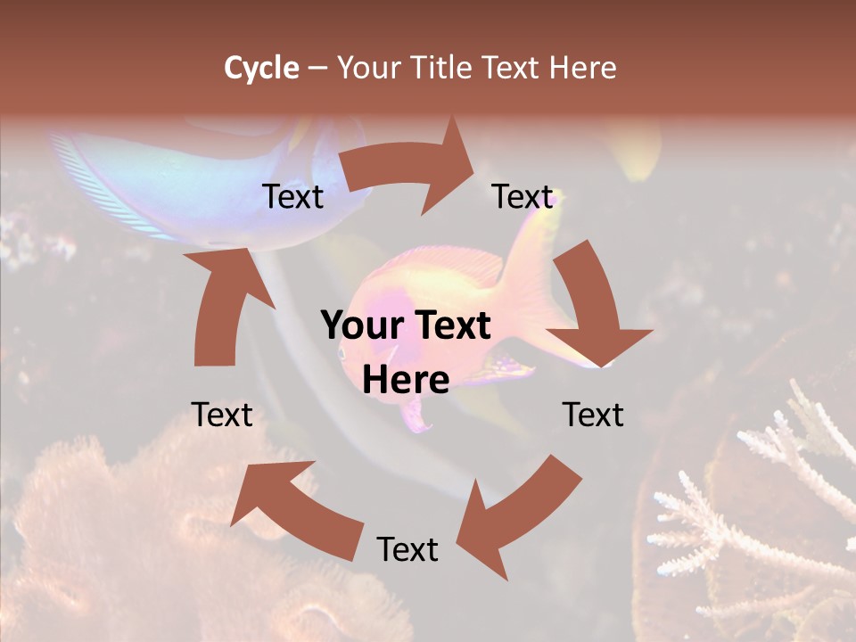 Close Seaweeds Fishes PowerPoint Template