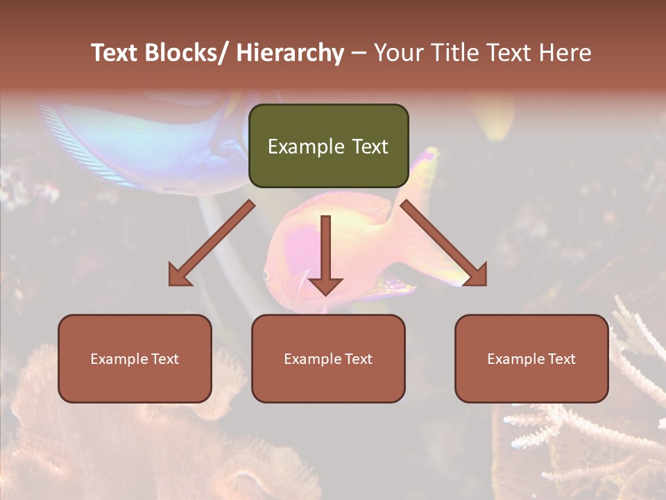Close Seaweeds Fishes PowerPoint Template