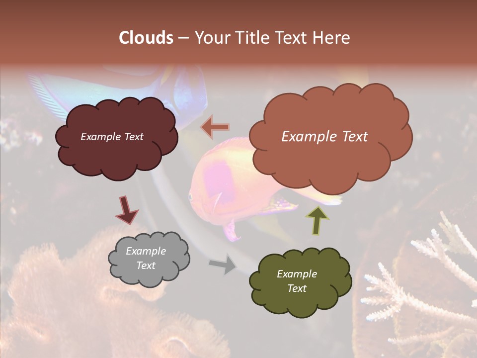 Close Seaweeds Fishes PowerPoint Template