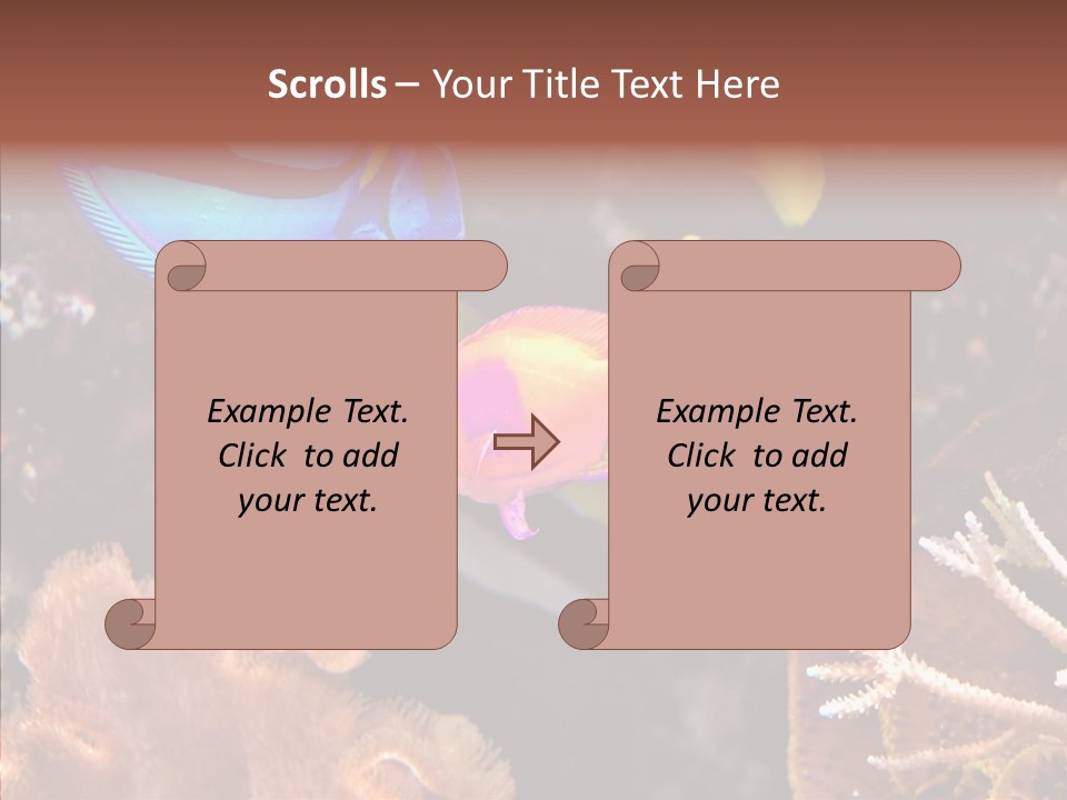 Close Seaweeds Fishes PowerPoint Template