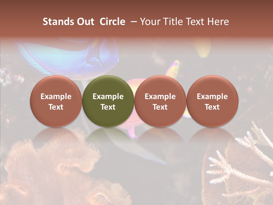 Close Seaweeds Fishes PowerPoint Template