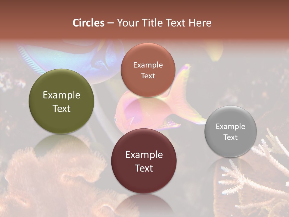 Close Seaweeds Fishes PowerPoint Template