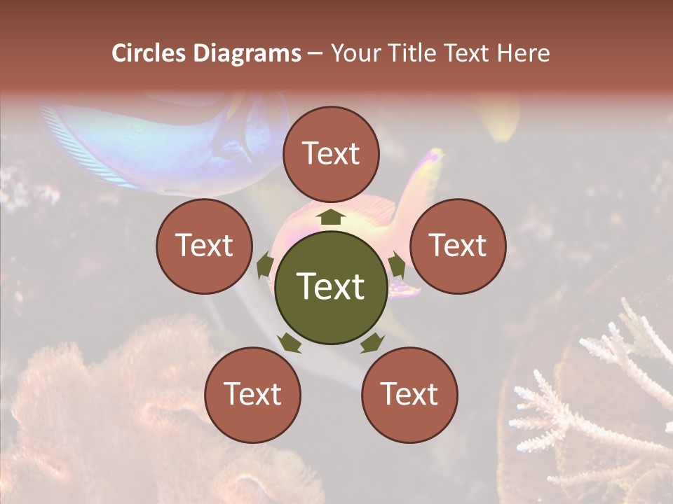 Close Seaweeds Fishes PowerPoint Template