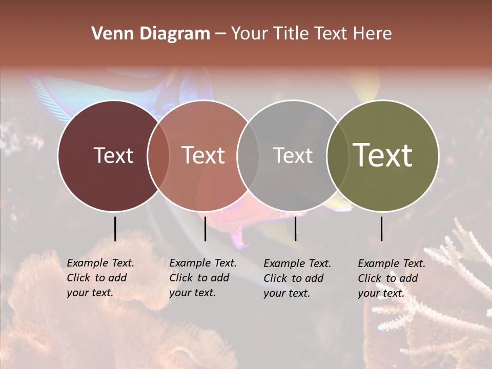 Close Seaweeds Fishes PowerPoint Template