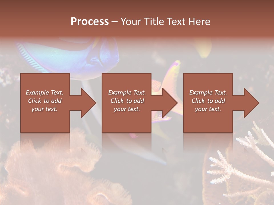 Close Seaweeds Fishes PowerPoint Template